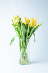 Yellow Tulips bouquet