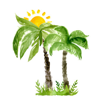 Watercolor illustration of palm-tree. Hand drawn illustration isolated on white background. Bright and sunny tree.
