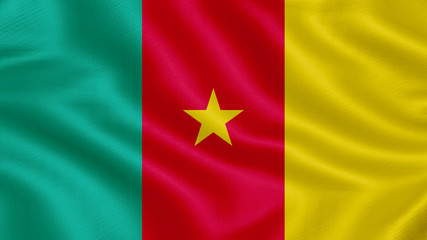 Flag of Cameroon. Realistic waving flag 3D render illustration with highly detailed fabric texture.