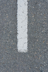 Fototapeta premium Street concrete with a white car line signal in the middle. Concrete street for background.