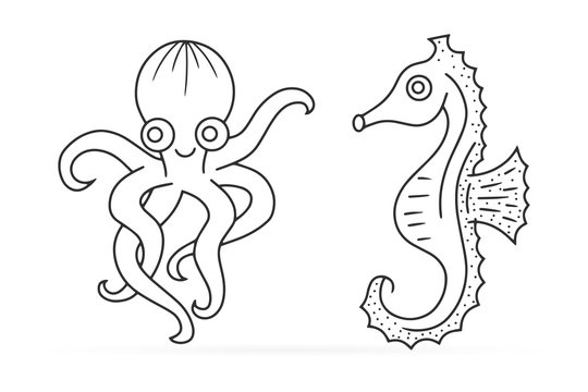 Outline underwater animal isolated on white. Octopus, seahorse. Sketch hand drawing art line. Coloring page book. Outline sea life. Vector stock illustration