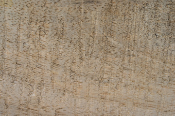 mango wood texture pattern