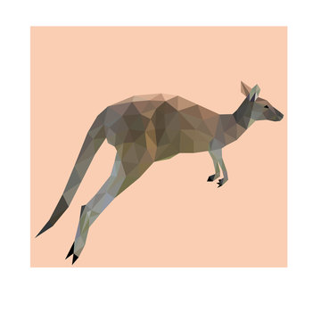 Kangaroo triangle low polygon vector. Good use for icon, sticker, mascot, or any design you want