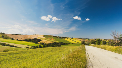 Obraz premium Rural view of countryside, hilly landscape