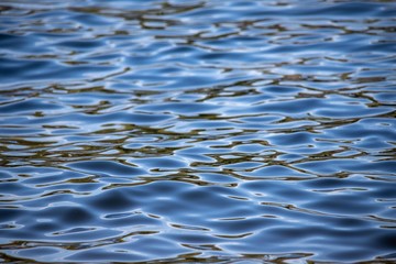 Lake texture 3