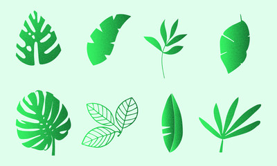 vector set of green leaves