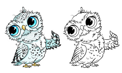 Cute little line and color owl vector illustration