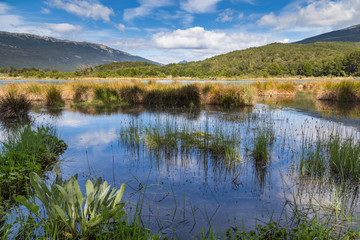 Beautiful scenic view on Lapataia river in Tierra del Fuego national park near Ushuaia, Argentina