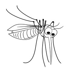 mosquito cute vector illustration/ funny insect