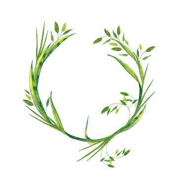 Elegant wreath of realistic summer plant. Juicy fresh green grass with spikelets. Wildlife meadow backdrop. Watercolor hand painted isolated elements on white background.