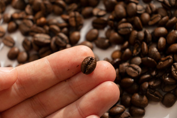 take coffee beans by hand morning in hand close up