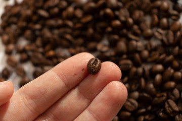 take coffee beans by hand morning in hand close up