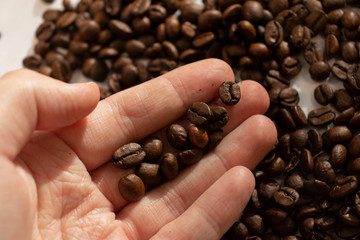 take coffee beans by hand morning in hand close up