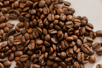coffee beans on a white background
