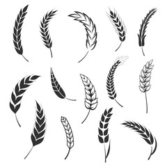 Corn Stalk Silhouette Photos Royalty Free Images Graphics