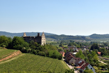 Fototapeta na wymiar Burgruine in Burkheim im Kaiserstuhl