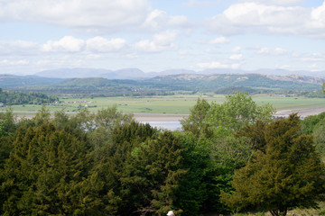 Obraz premium Morecambe Bay Esturary from Arnside Knott