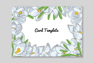 Rectangular card frame with white hand drawn crocus flower arrangement. Greeting card template. Vector