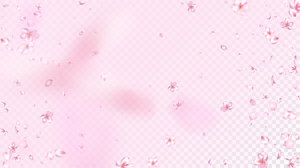 Nice Sakura Blossom Isolated Vector. Pastel Showering 3d Petals Wedding Texture. Japanese Nature Flowers Illustration. Valentine, Mother's Day Watercolor Nice Sakura Blossom Isolated on Rose