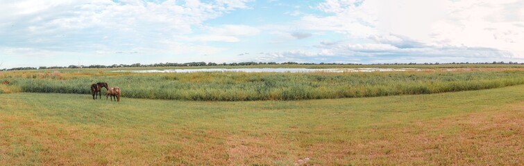Obraz premium Panorama of the beautiful nature in Argentina