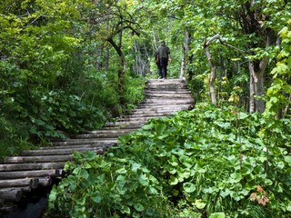 Obraz premium national park
