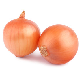 Onions isolated on the white background