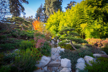 Japanese Garden