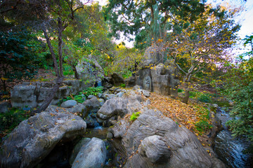 Japanese Garden