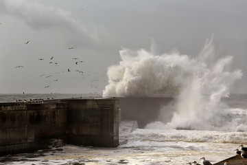 Fototapeta na wymiar Wave splash over pier