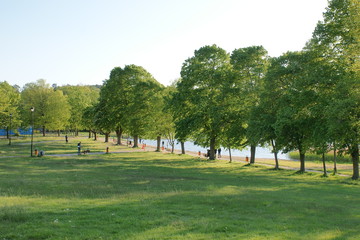 Kortowo
