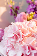 Obraz na płótnie Canvas Beautiful pink hydrangea flower close up. Artistic natural background. flower in bloom in spring and summer. Designer flower bouquet from a florist. Beautiful blossoming flower wedding bouquet.