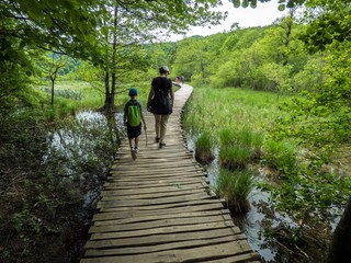 Obraz premium national park