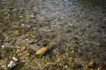 stones in the water