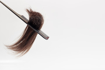 cut-off brown hair close-up in a comb on a light gray background. Place of the cut of a lock of hair with the tip at the bottom on a white background