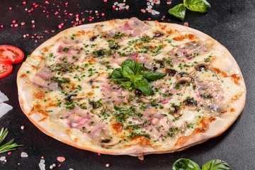 Fresh hot pizza with bacon, onions, greens and tomatoes made in an oven