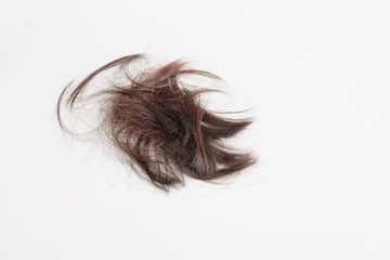 hair scattered on a white background. a brown tuft of hair lies on a light gray background randomly