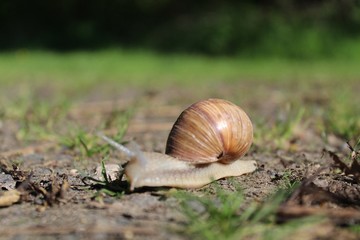 "małe nie znaczy niewidoczne" © Marzena