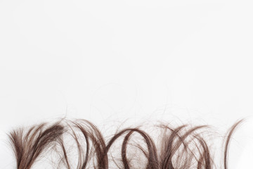 Background with brown hair tips. The tips of the hair stick out from the bottom or top on a light gray background. Curls of hair on the edge of the frame on a white background