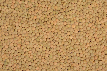 Green lentils. Legumes background.