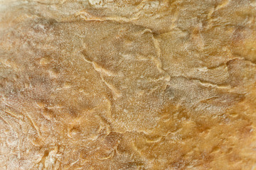 fresh rosy crust of bread. freshly baked cake