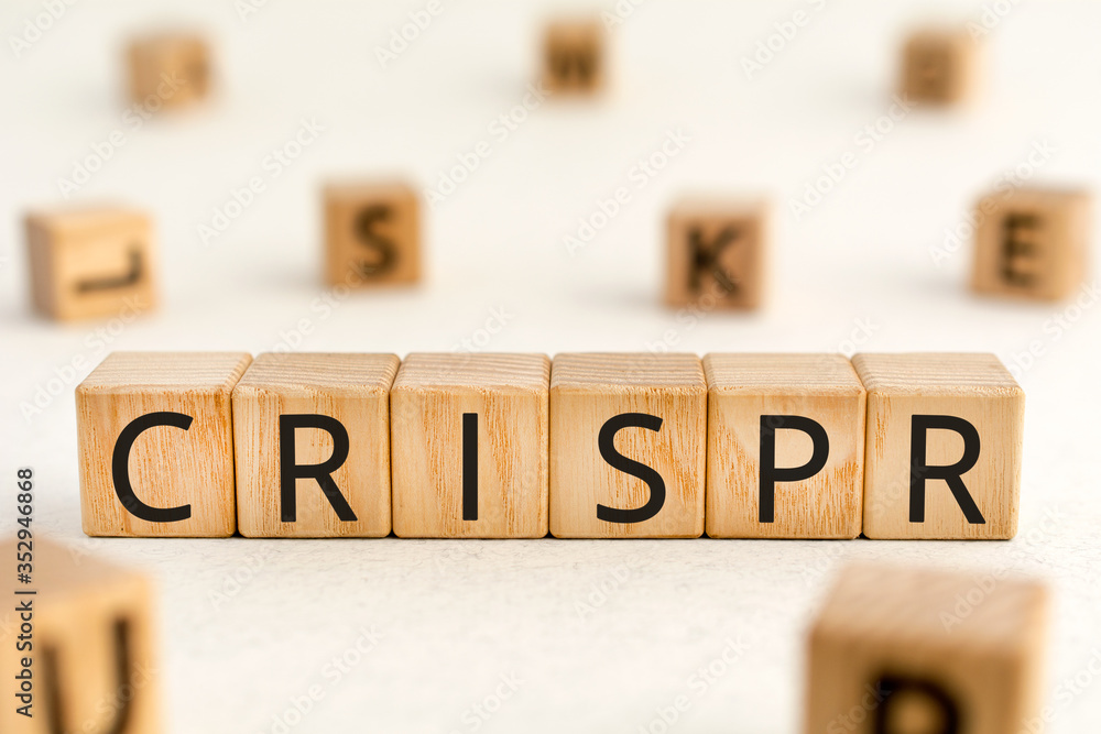 Poster crispr - word from wooden blocks with letters, clustered regularly interspaced short palindromic rep