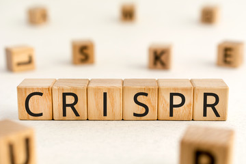 CRISPR - word from wooden blocks with letters, clustered regularly interspaced short palindromic...