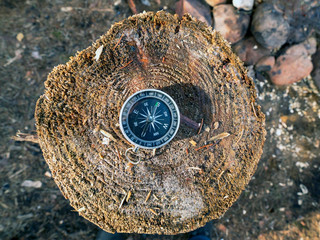 The compass is lying on a wooden stump in the forest.