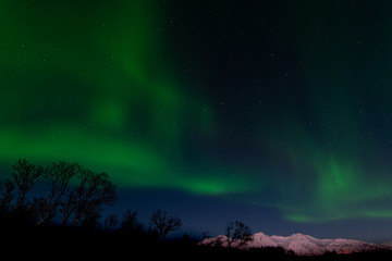 Fototapeta na wymiar Northern Lights, Tromso