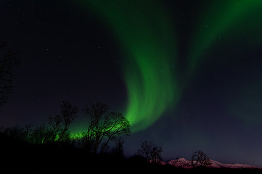 Northern Lights, Tromso © Lorenzo