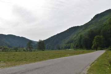 Fototapeta premium road in mountains
