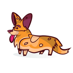 Corgi dog vector cartoon illustration. Funny welsh corgi with tongue out isolated or white.
