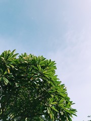 Processed with VSCO with c1 preset