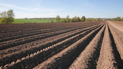 Fototapeta na wymiar Colours of spring - ploughed field ready to sow. Agricultural fields in Russia.