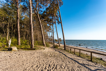 Fototapeta na wymiar Baltic sea coast near Klaipeda/ Lithuania. The area is known as the Dutch Hat because of the dunes formed in a similar shape as old style Dutch cap.